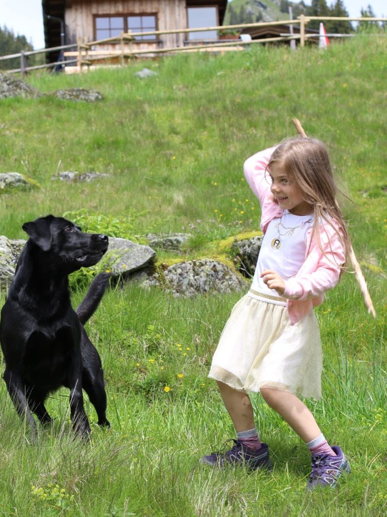 Hundebetreuung in Kitznbühel - Unterwegs